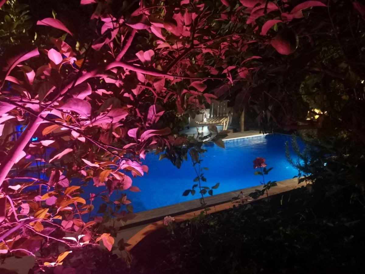 Riad Avec Terrasse Privee Et Piscine Partagee A 300M Fez Zewnętrze zdjęcie